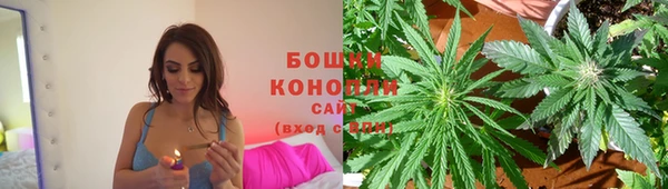 мдпв Верхний Тагил
