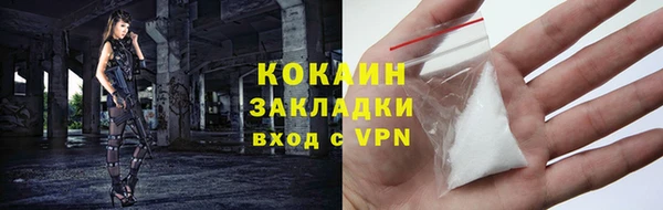 мдпв Верхний Тагил