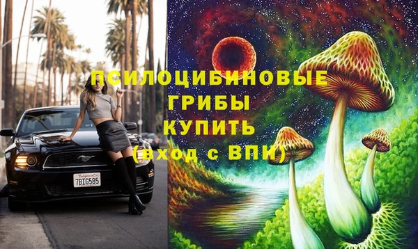 стафф Верея