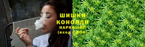 мдпв Верхний Тагил