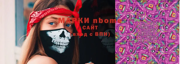 мдпв Верхний Тагил