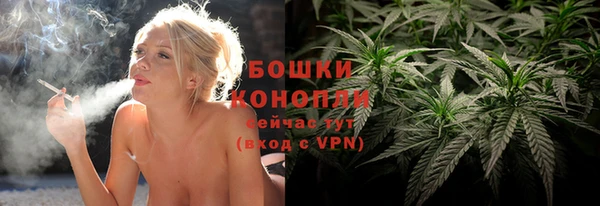 мдпв Верхний Тагил